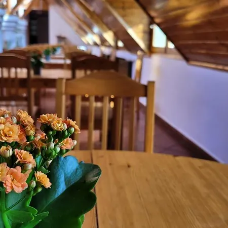 Üdülőközpont Cherry Center *